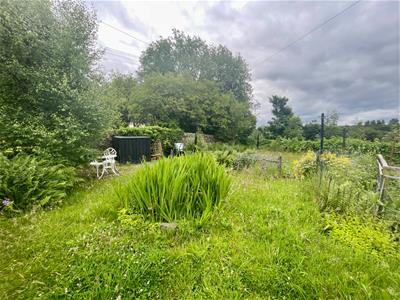 Picture 24